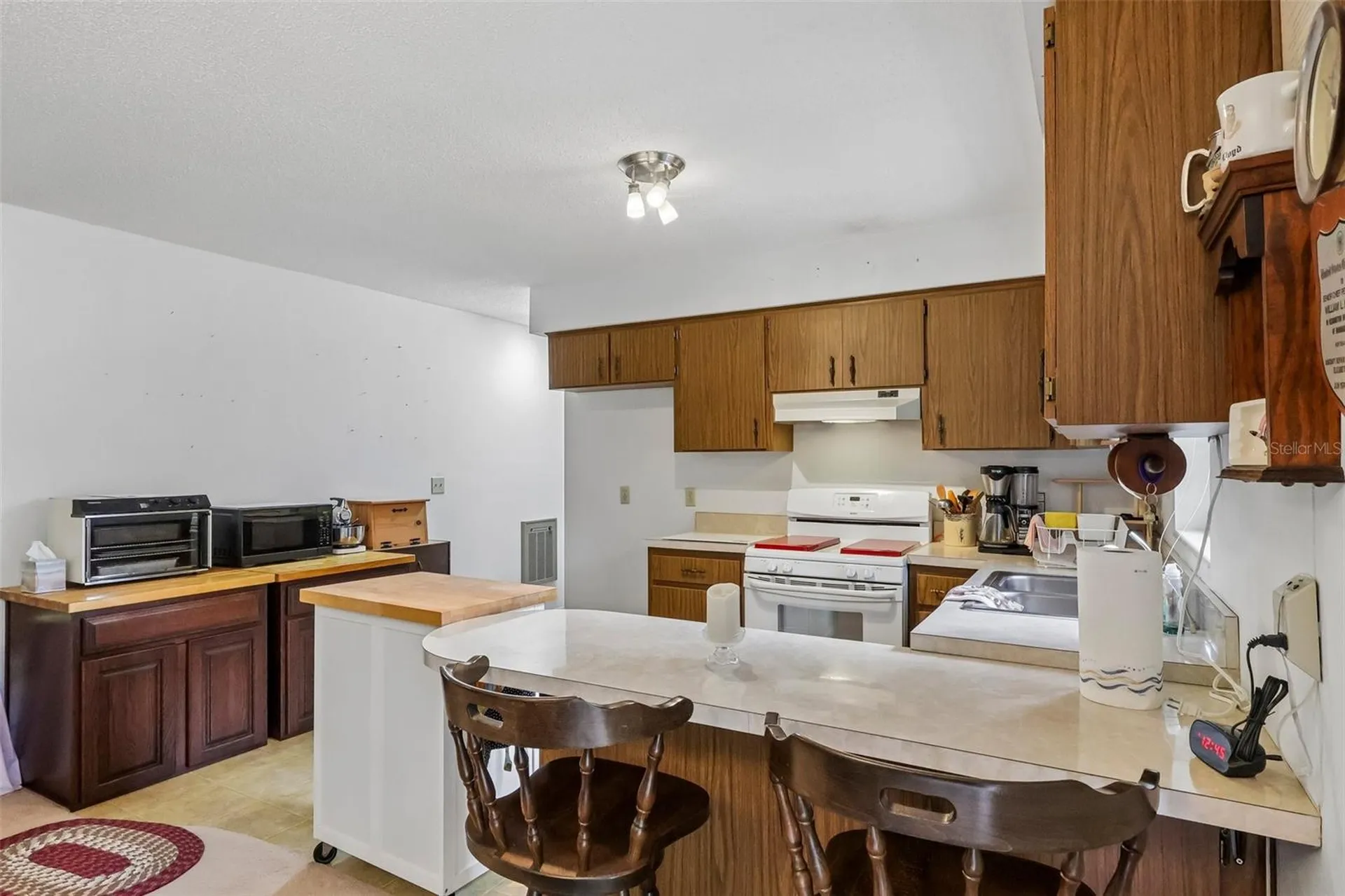 774 SE 116th Lane Webster FL 33597