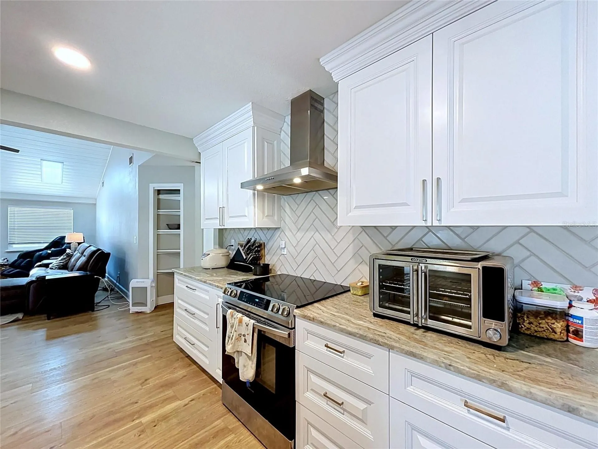2210 Arbor Oaks Drive Valrico FL 33594