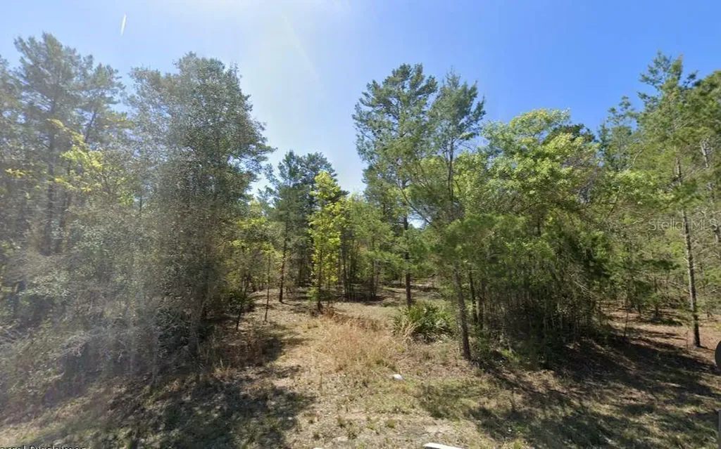 835 Deerwood Avenue Perry FL 32348