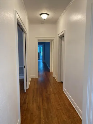 5205 N Central Avenue Tampa FL 33603