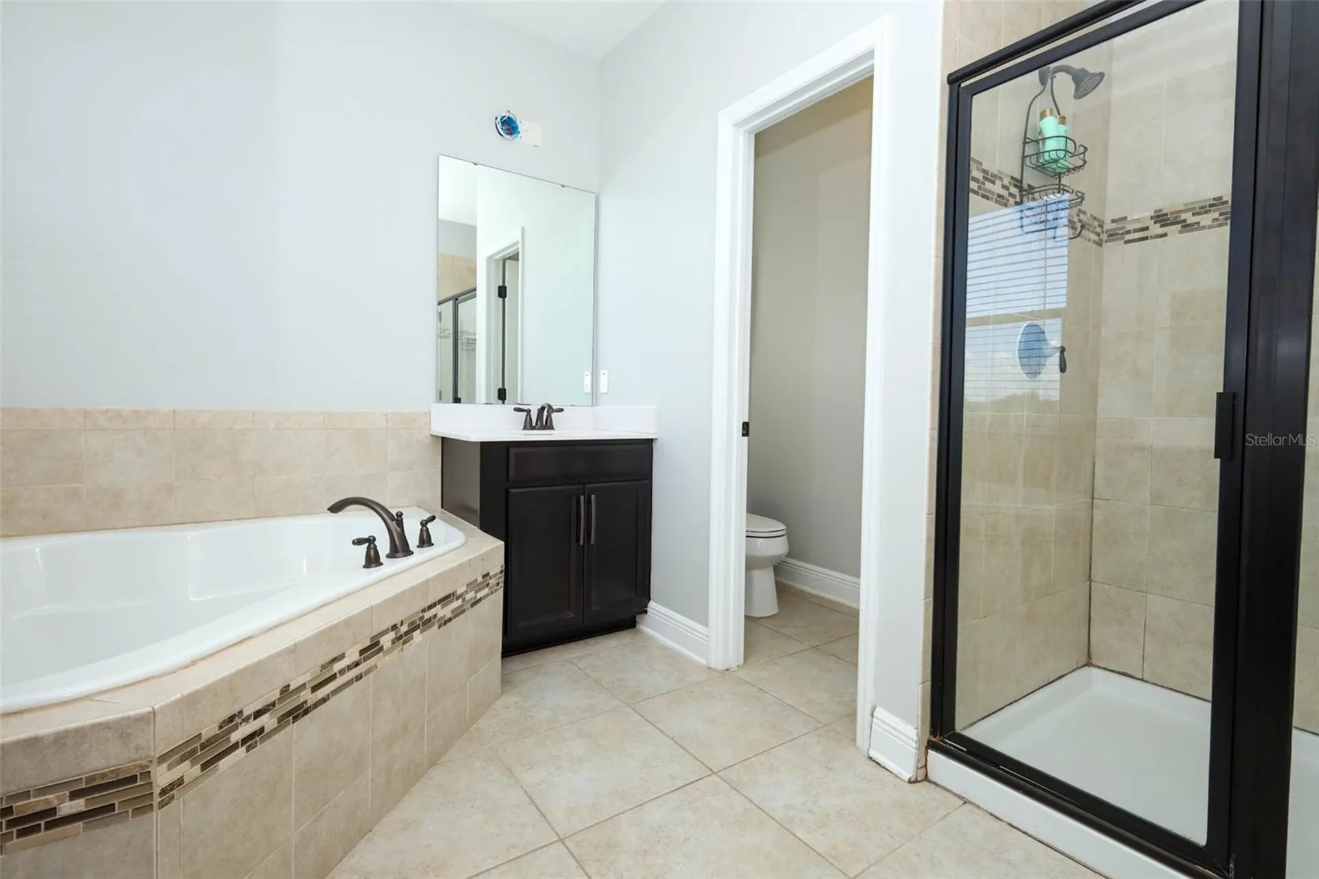 14531 Cedar Hill Drive Winter Garden FL 34787