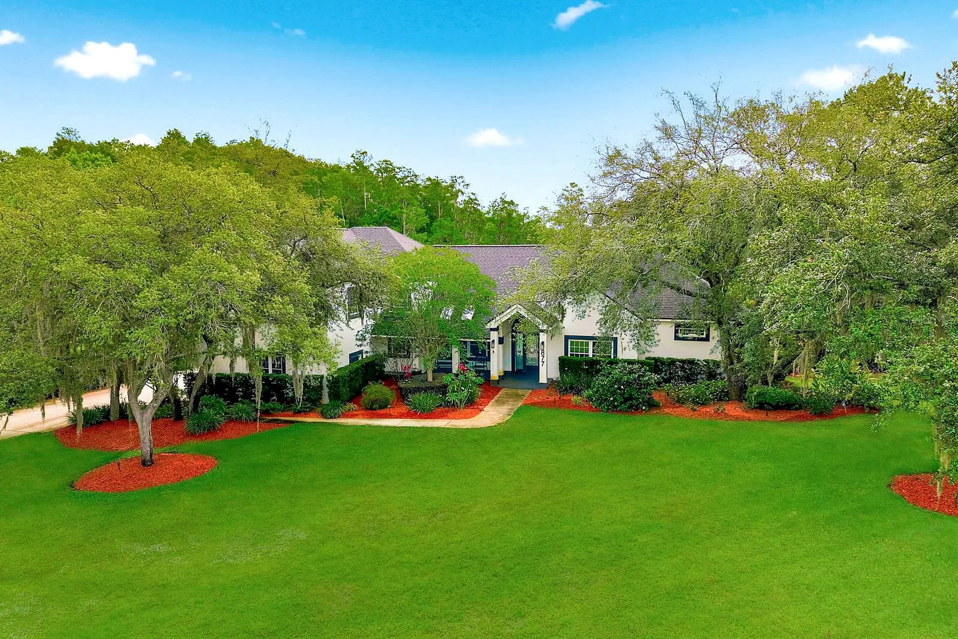 877 Cypress Lakeview Court Tarpon Springs FL 34688