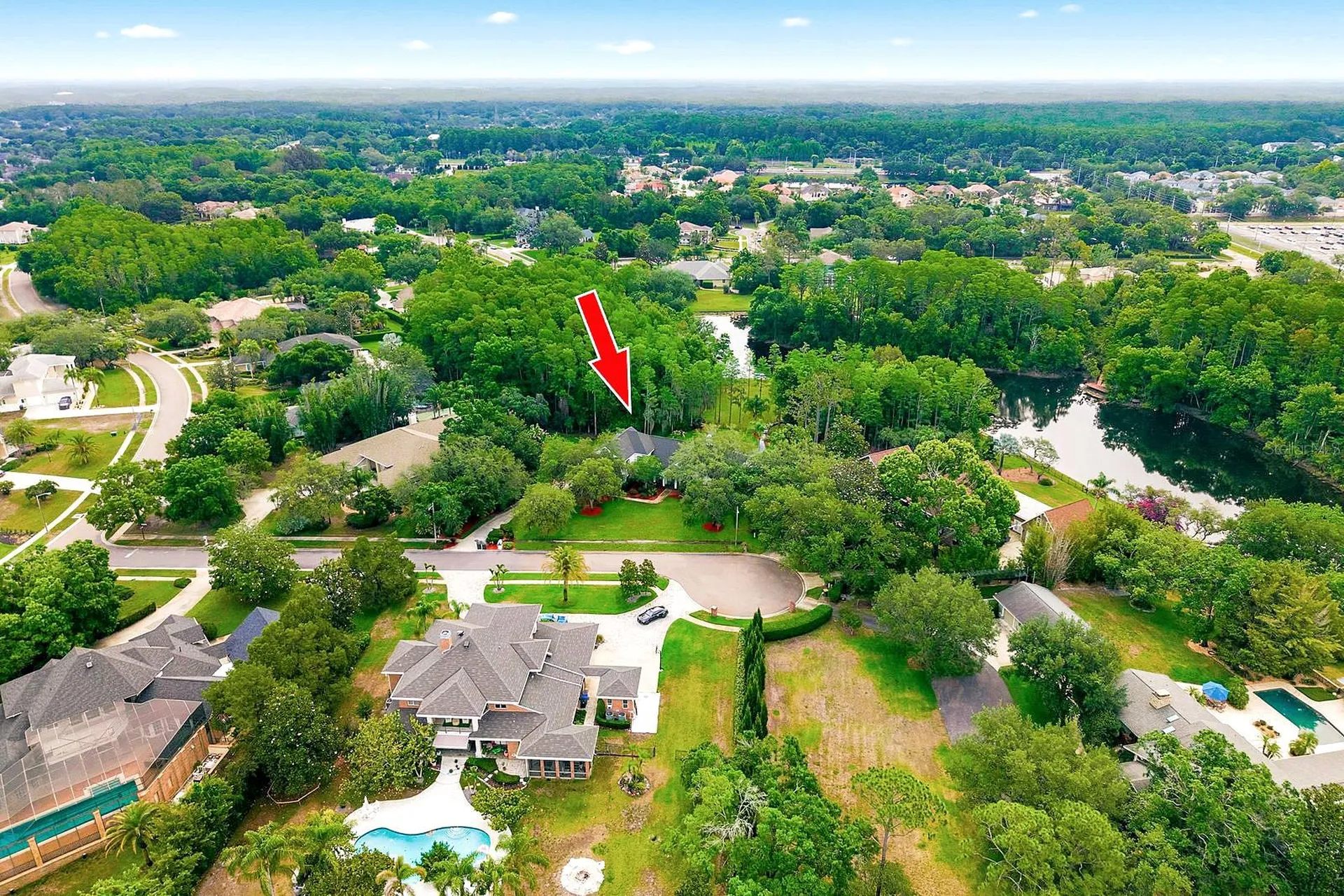 877 Cypress Lakeview Court Tarpon Springs FL 34688