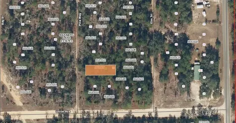 XX Pine Way Interlachen FL 32148