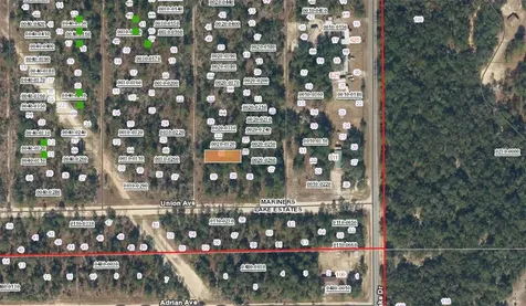 XX Pine Way Interlachen FL 32148