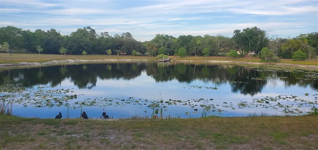 7517 Jomel Drive Weeki Wachee FL 34607
