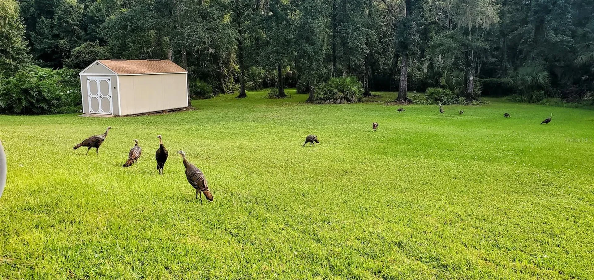 7517 Jomel Drive Weeki Wachee FL 34607