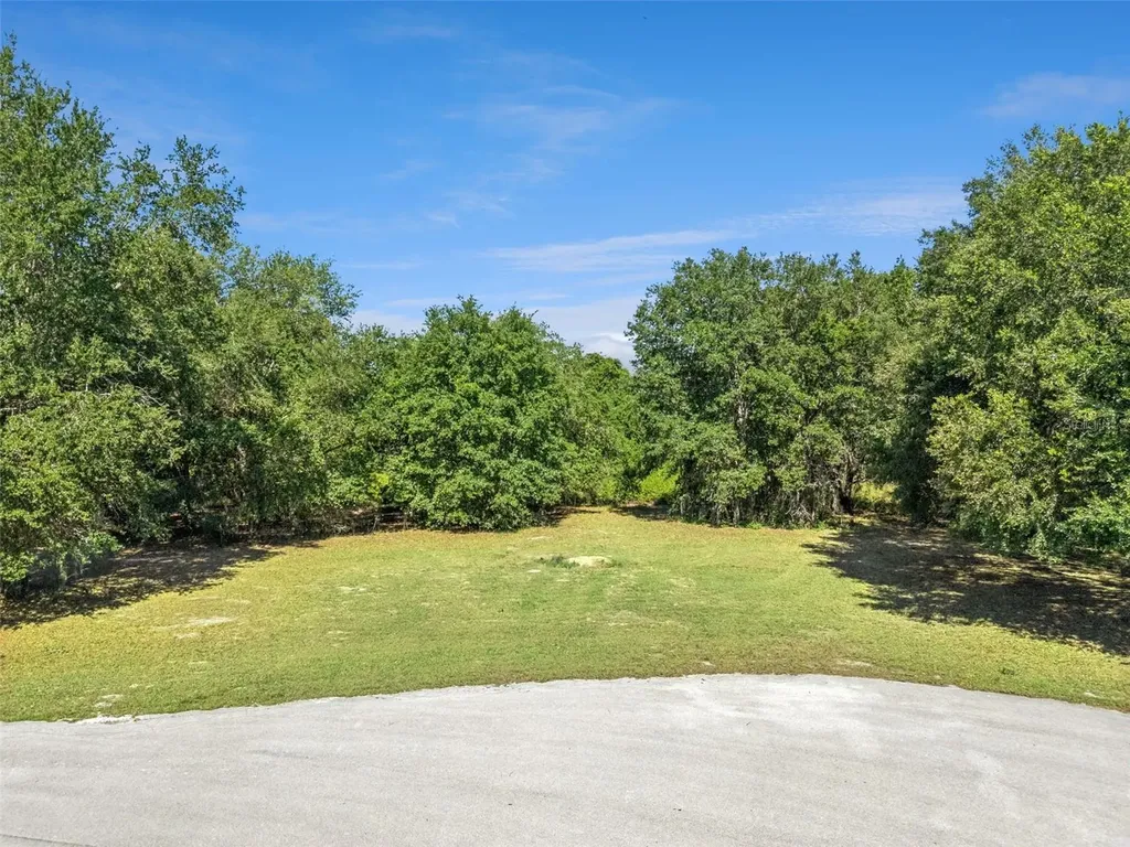 18353 Great Blue Heron Drive Groveland FL 34736