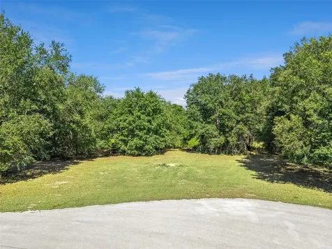 18353 Great Blue Heron Drive Groveland FL 34736
