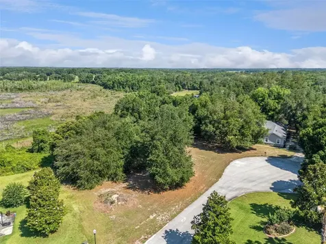 18353 Great Blue Heron Drive Groveland FL 34736