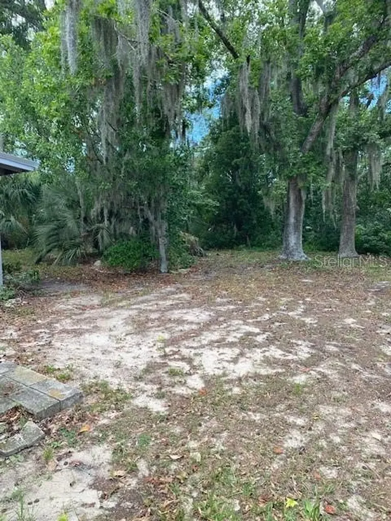6442 Treehaven Drive Spring Hill FL 34606