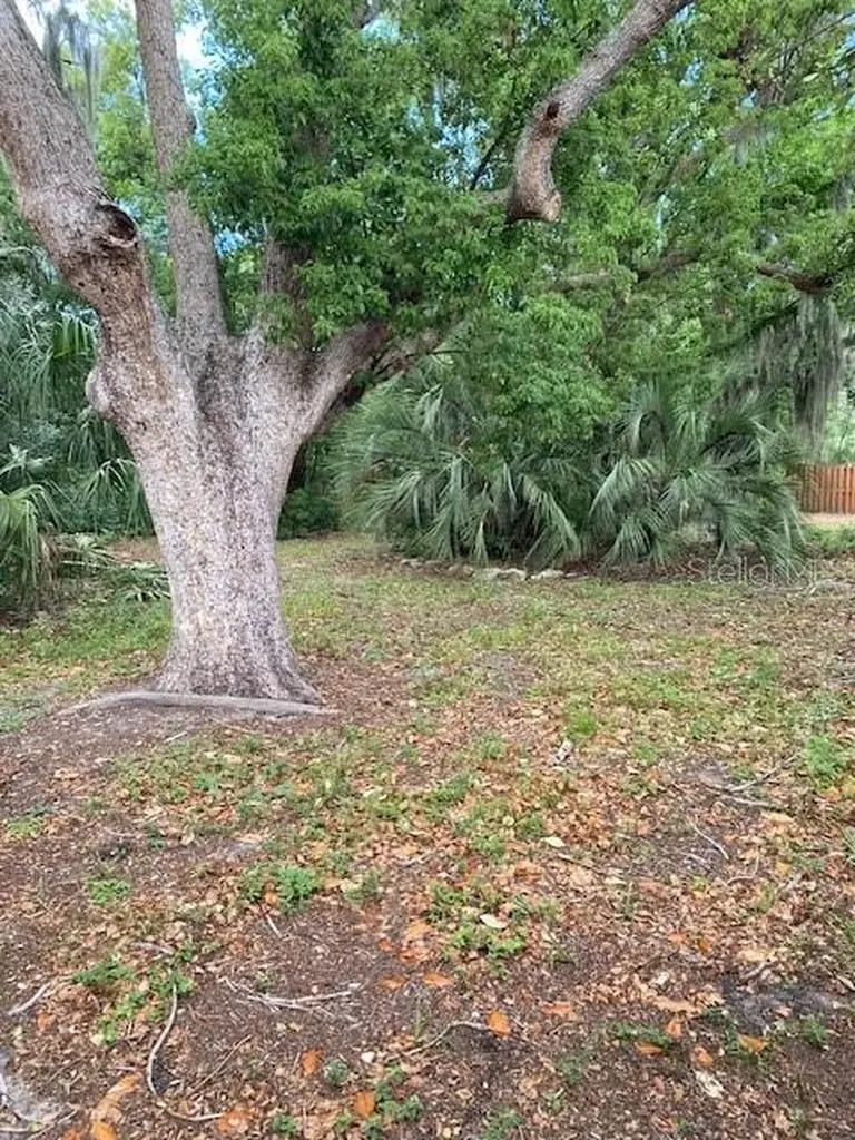 6442 Treehaven Drive Spring Hill FL 34606