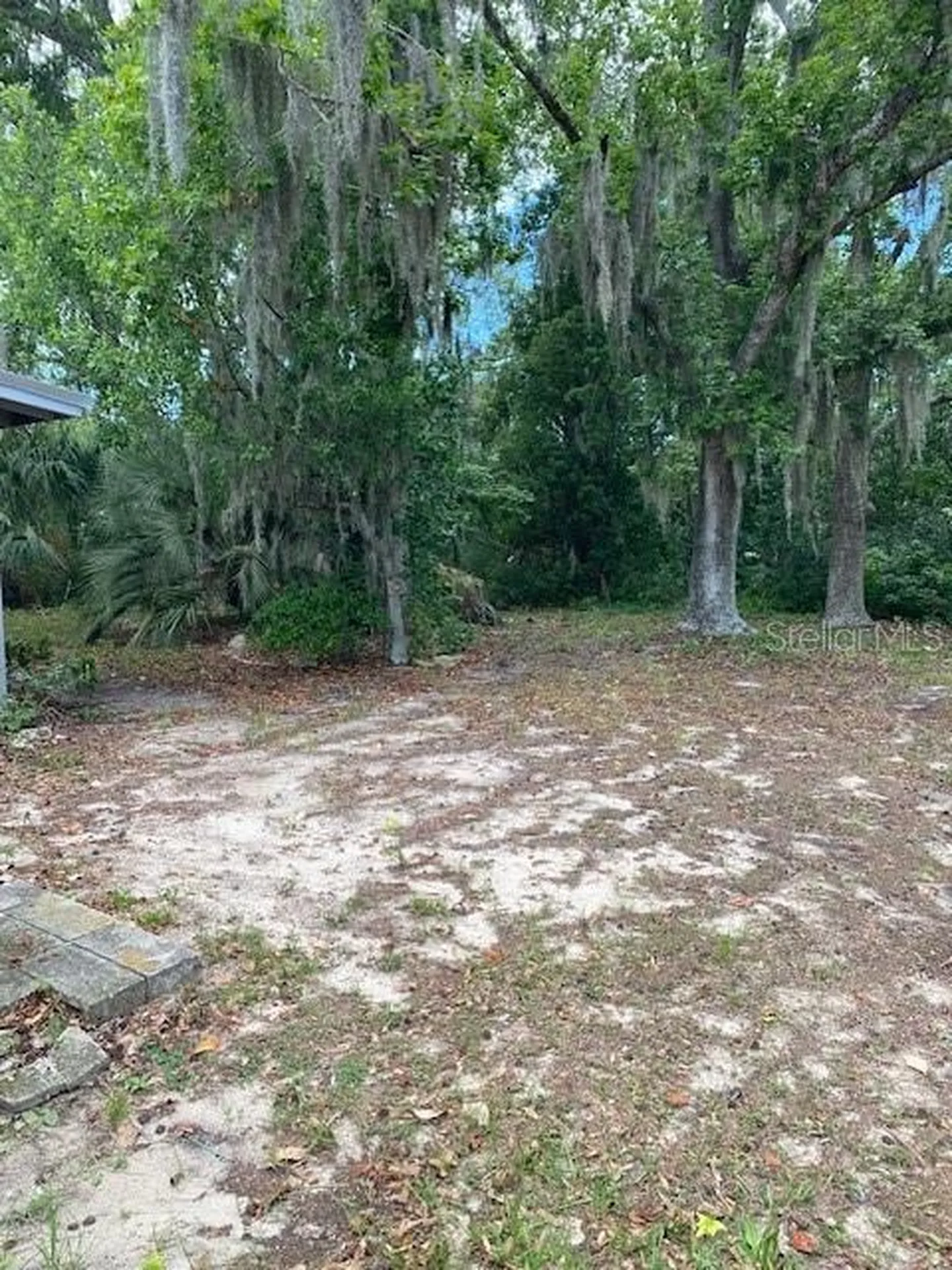 6442 Treehaven Drive Spring Hill FL 34606