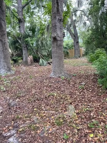 6442 Treehaven Drive Spring Hill FL 34606