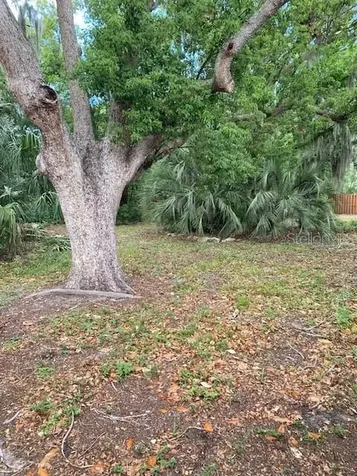 6442 Treehaven Drive Spring Hill FL 34606