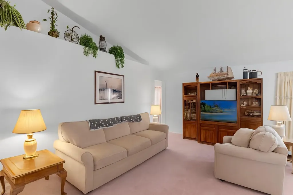 1237 Franford Drive Brandon FL 33511
