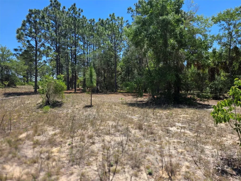 11837 N Captiva Terrace Dunnellon FL 34433