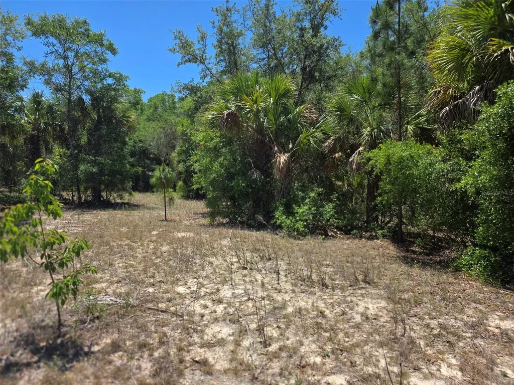 11837 N Captiva Terrace Dunnellon FL 34433