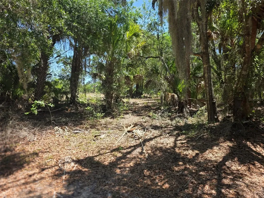 11837 N Captiva Terrace Dunnellon FL 34433