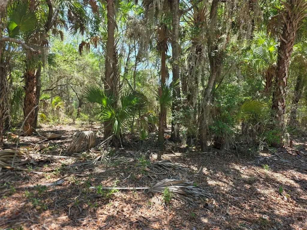 11837 N Captiva Terrace Dunnellon FL 34433
