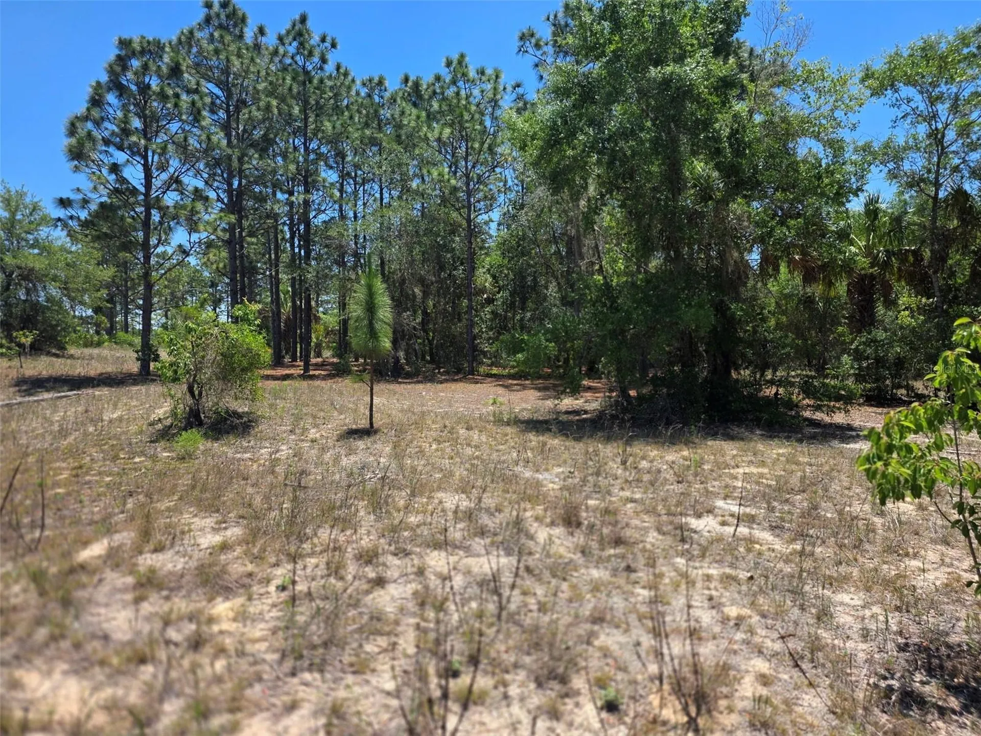 11837 N Captiva Terrace Dunnellon FL 34433
