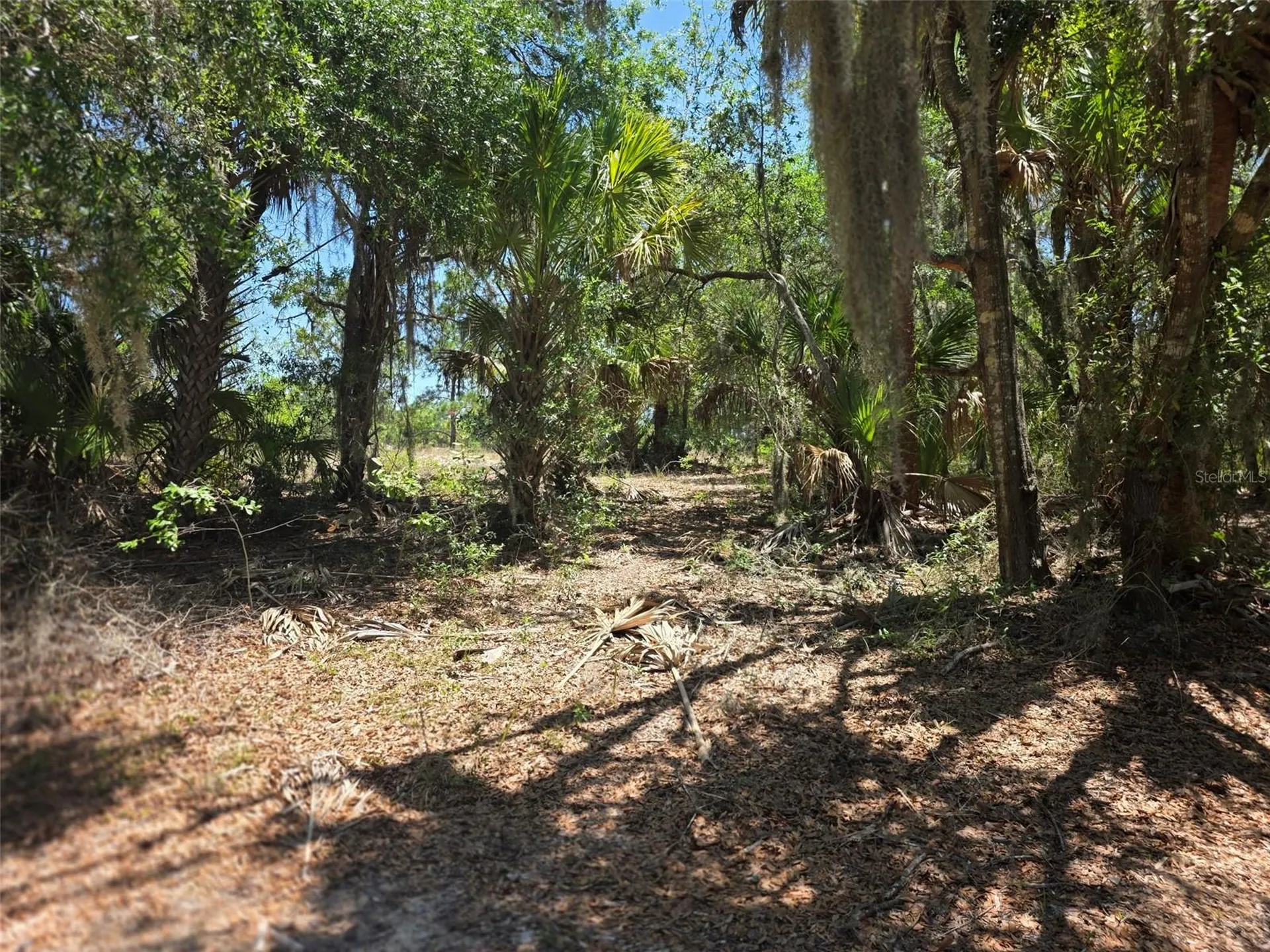 11837 N Captiva Terrace Dunnellon FL 34433
