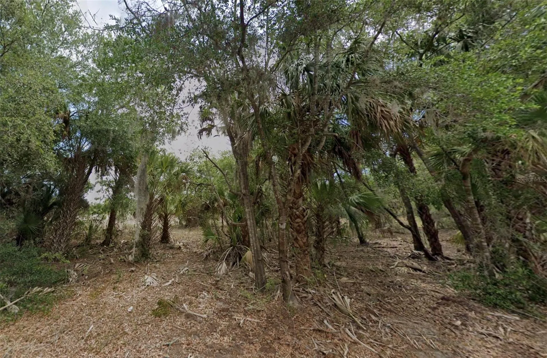 11837 N Captiva Terrace Dunnellon FL 34433