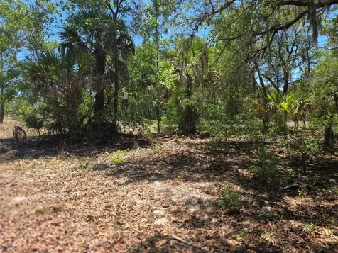 11837 N Captiva Terrace Dunnellon FL 34433