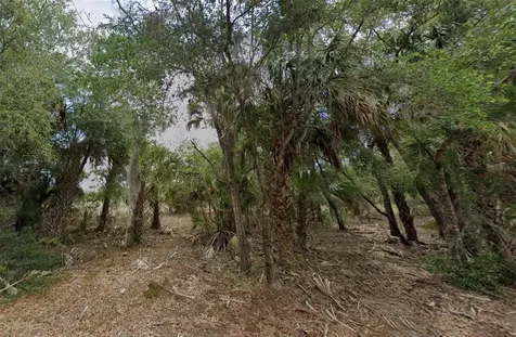11837 N Captiva Terrace Dunnellon FL 34433