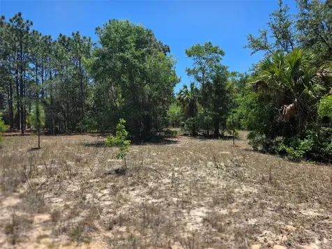 11837 N Captiva Terrace Dunnellon FL 34433