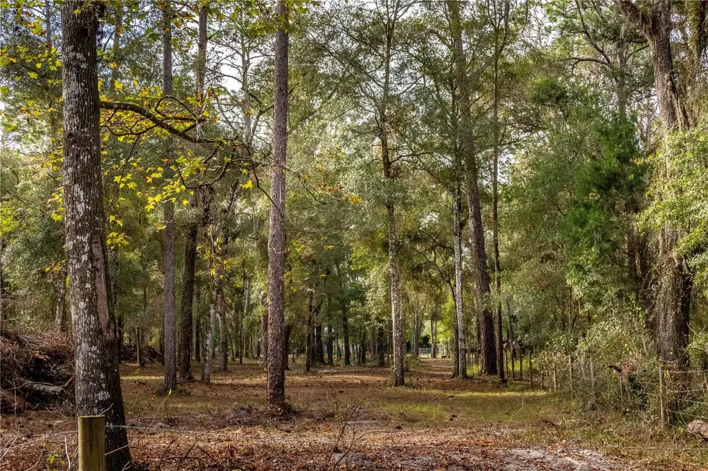 24091 Richbarn Road Brooksville FL 34601