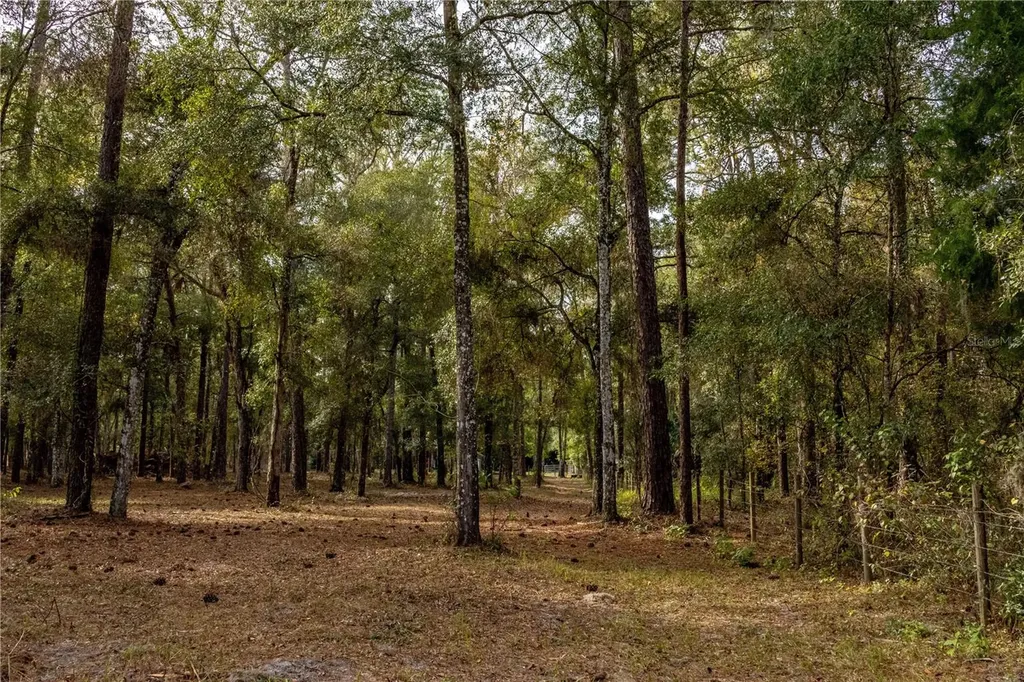 24091 Richbarn Road Brooksville FL 34601