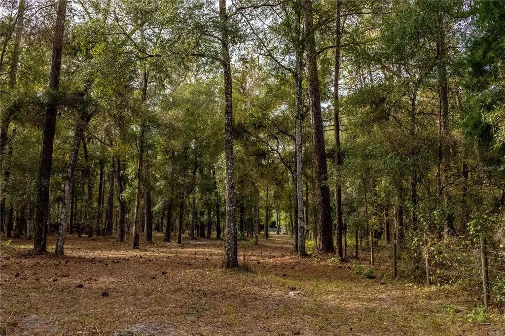 24091 Richbarn Road Brooksville FL 34601