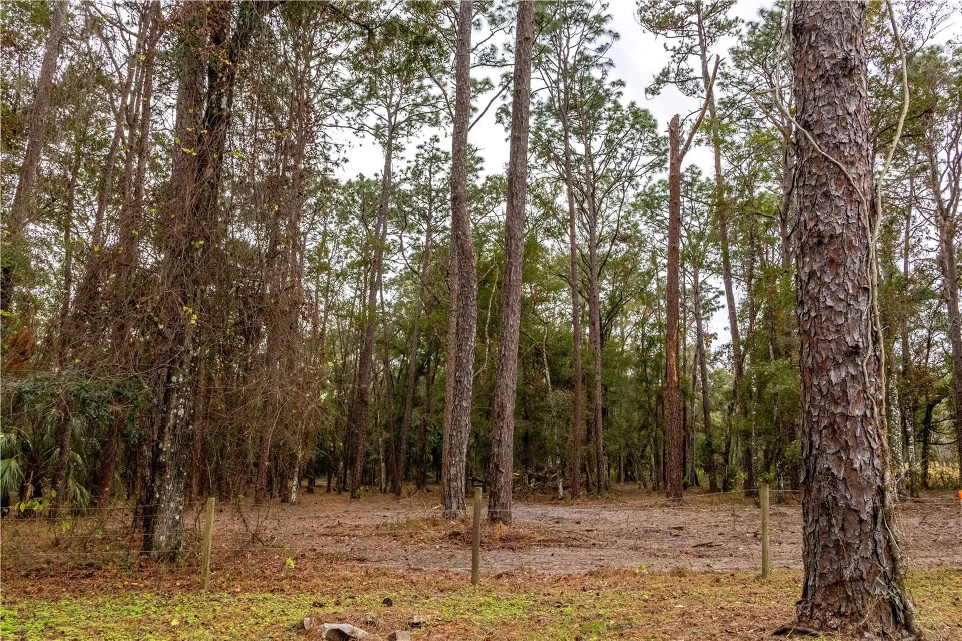 24091 Richbarn Road Brooksville FL 34601