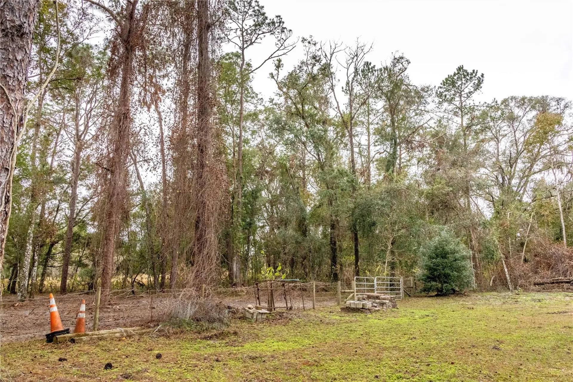 24091 Richbarn Road Brooksville FL 34601