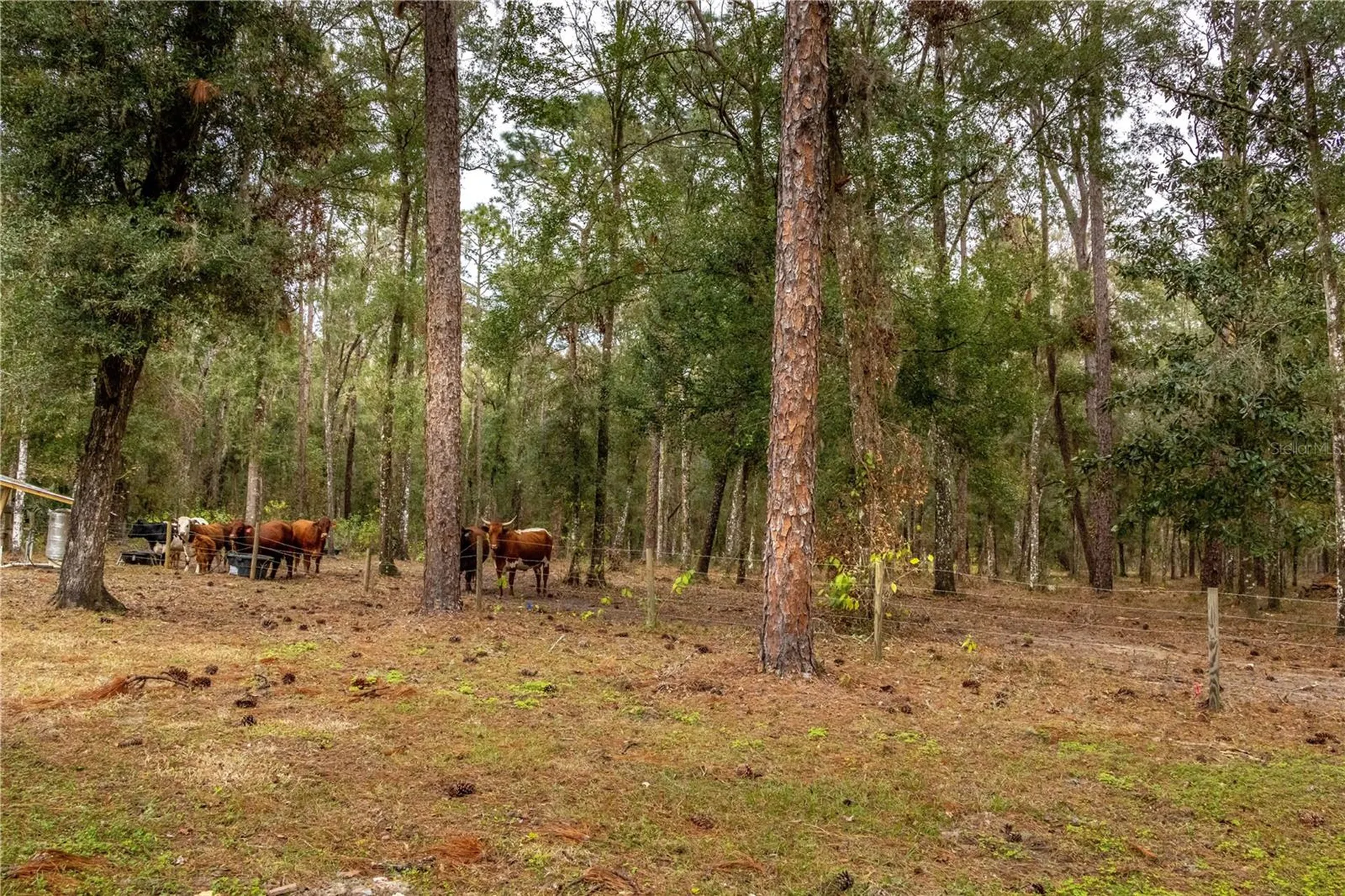 24091 Richbarn Road Brooksville FL 34601