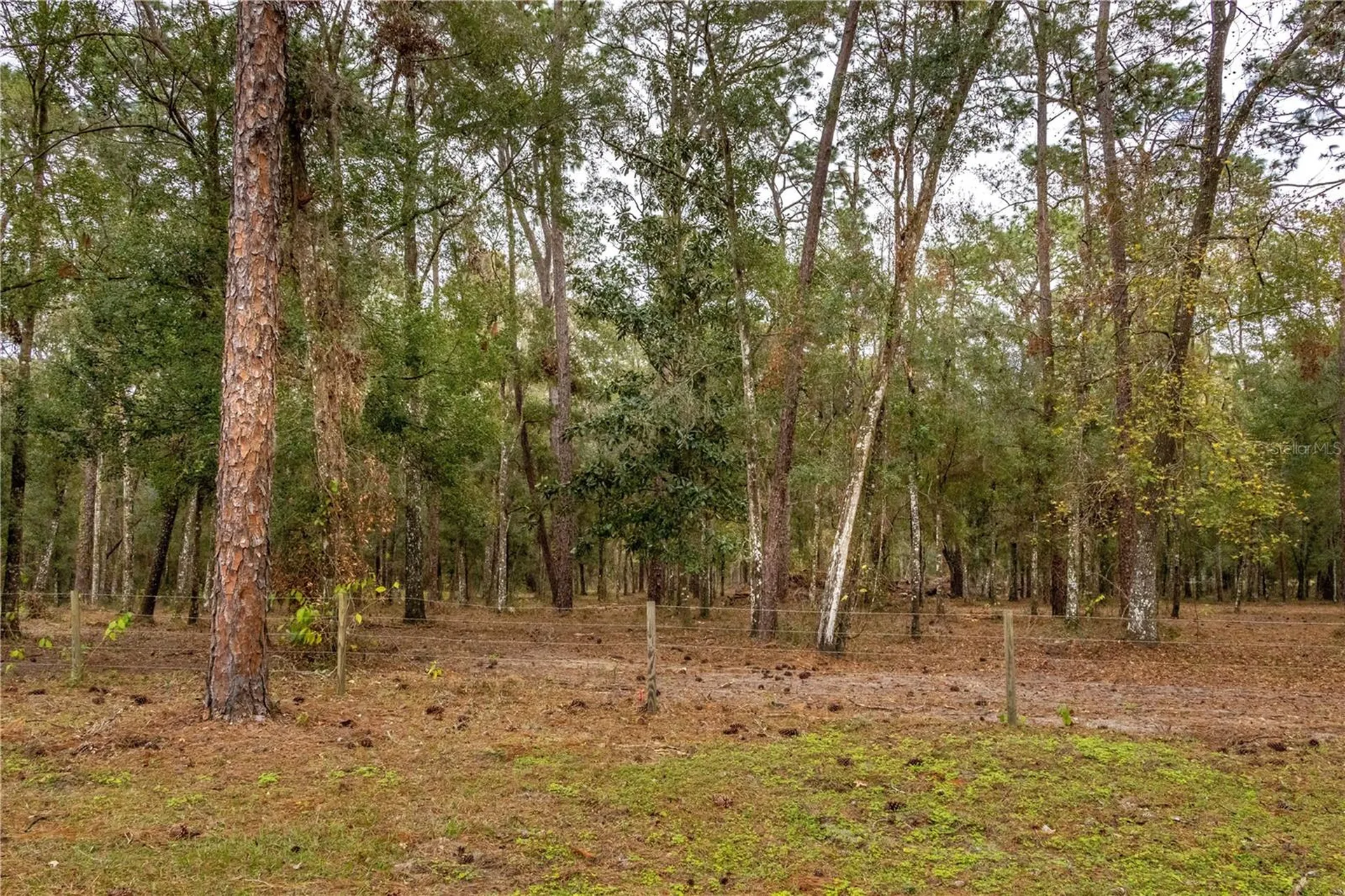 24091 Richbarn Road Brooksville FL 34601