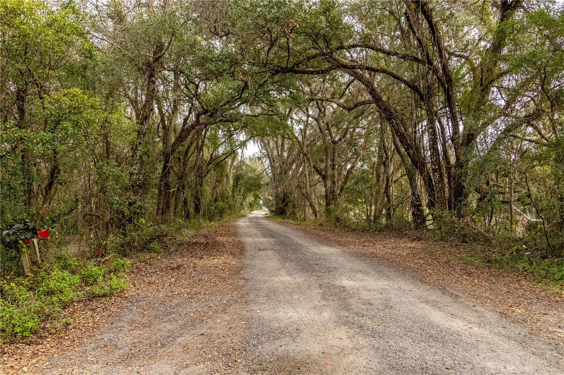 24091 Richbarn Road Brooksville FL 34601