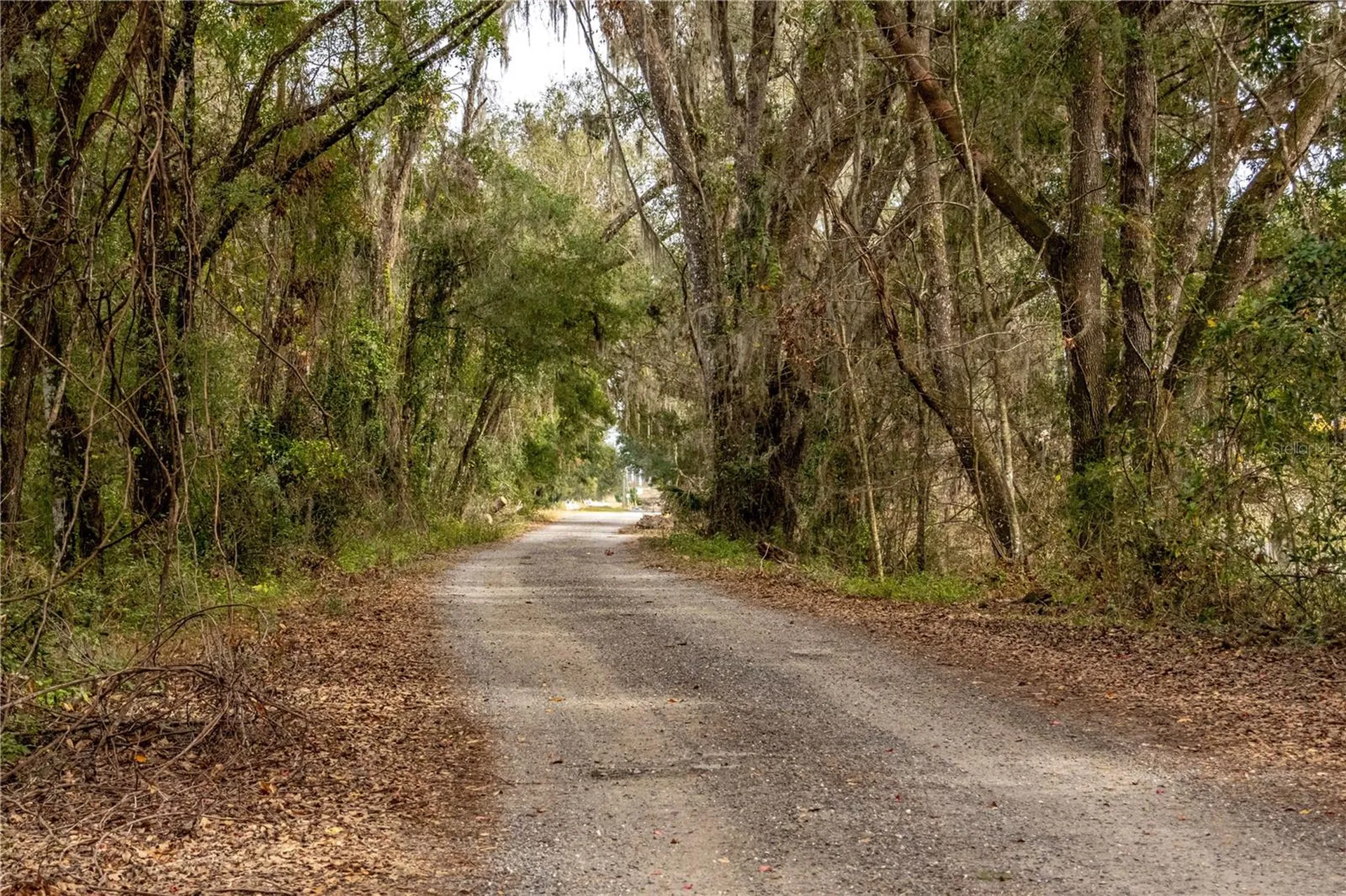 24091 Richbarn Road Brooksville FL 34601