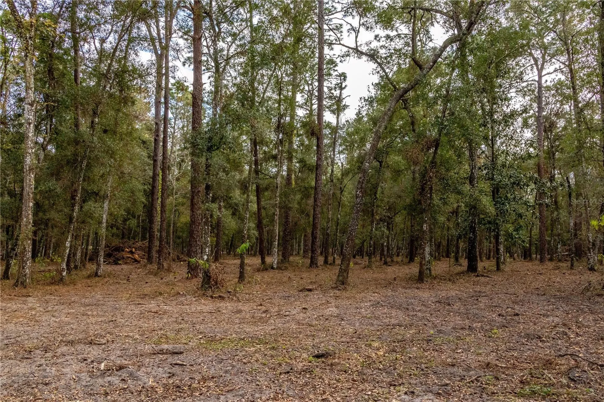 24091 Richbarn Road Brooksville FL 34601