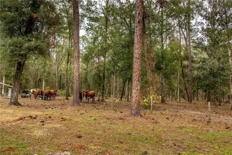 24091 Richbarn Road Brooksville FL 34601