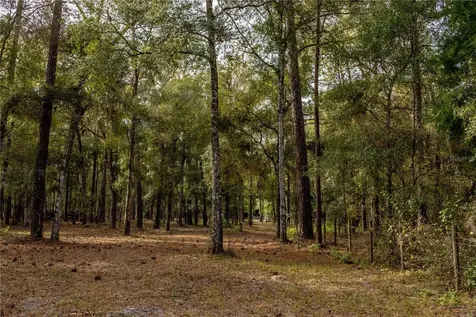 24091 Richbarn Road Brooksville FL 34601