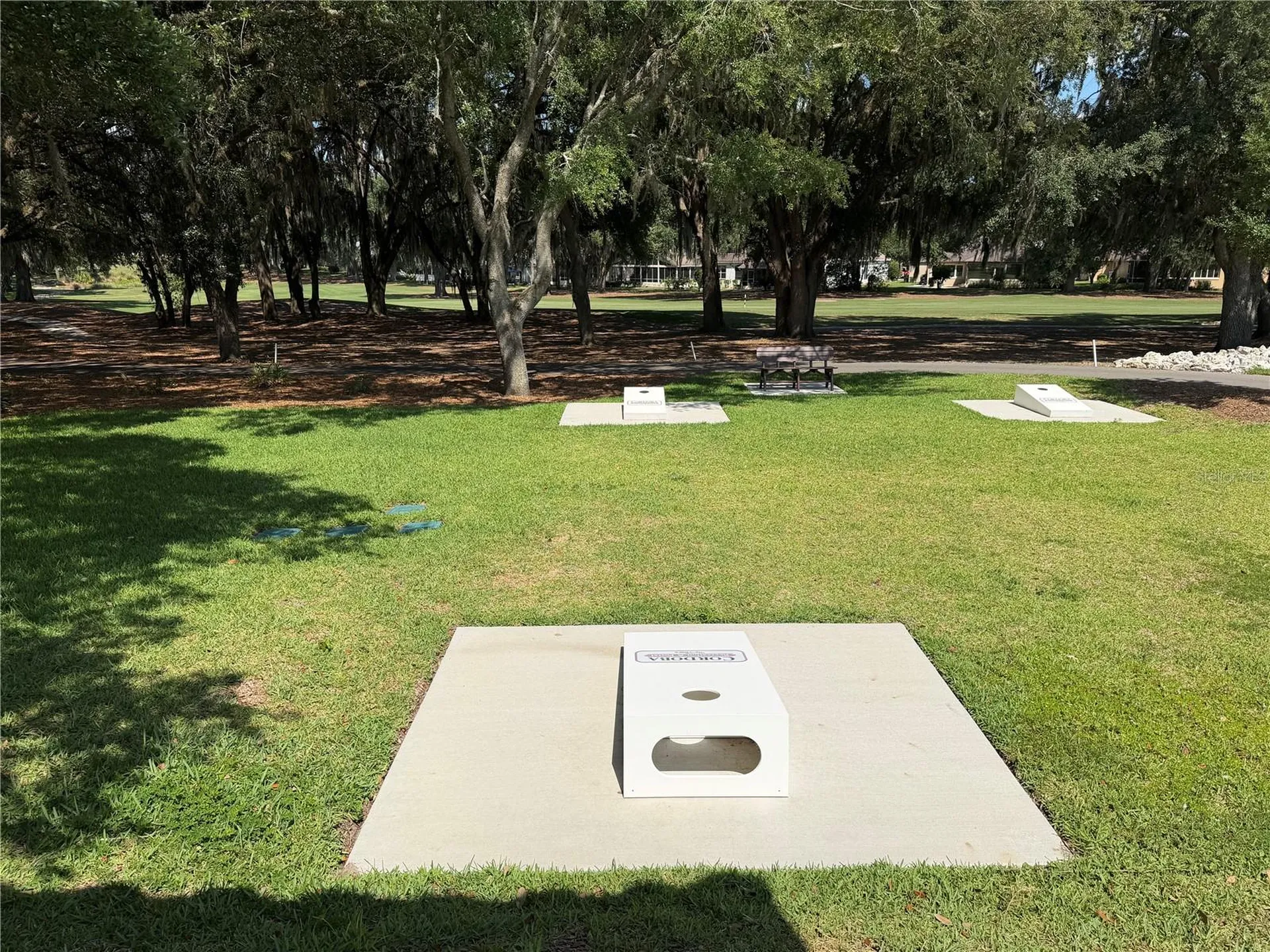 2003 Cordero Court The Villages FL 32159