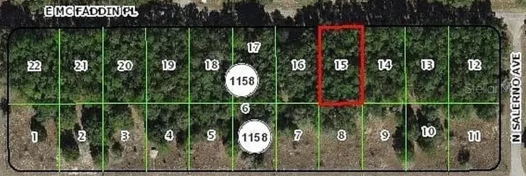 389 E Mc Faddin Place E Dunnellon FL 34434