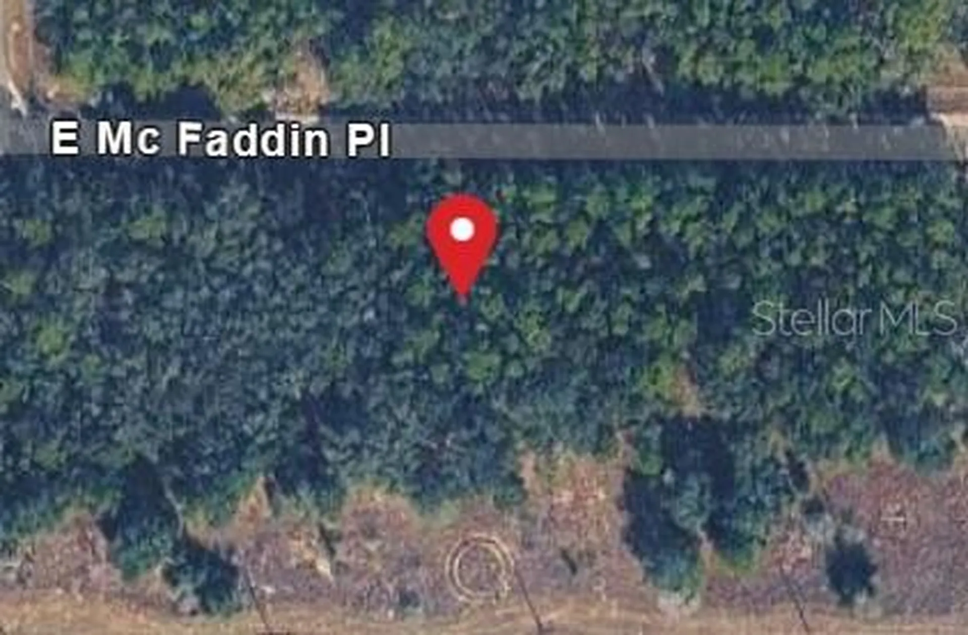 389 E Mc Faddin Place E Dunnellon FL 34434