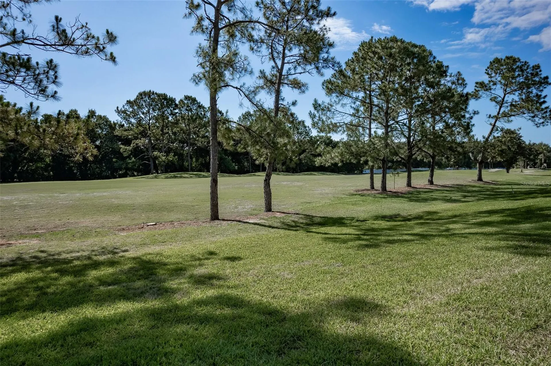 16023 SW 14th Avenue Road Ocala FL 34473