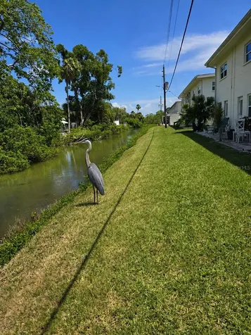 4565 Duhme Road St Petersburg FL 33708