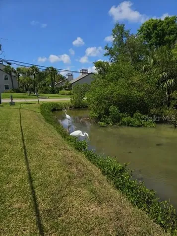 4565 Duhme Road St Petersburg FL 33708