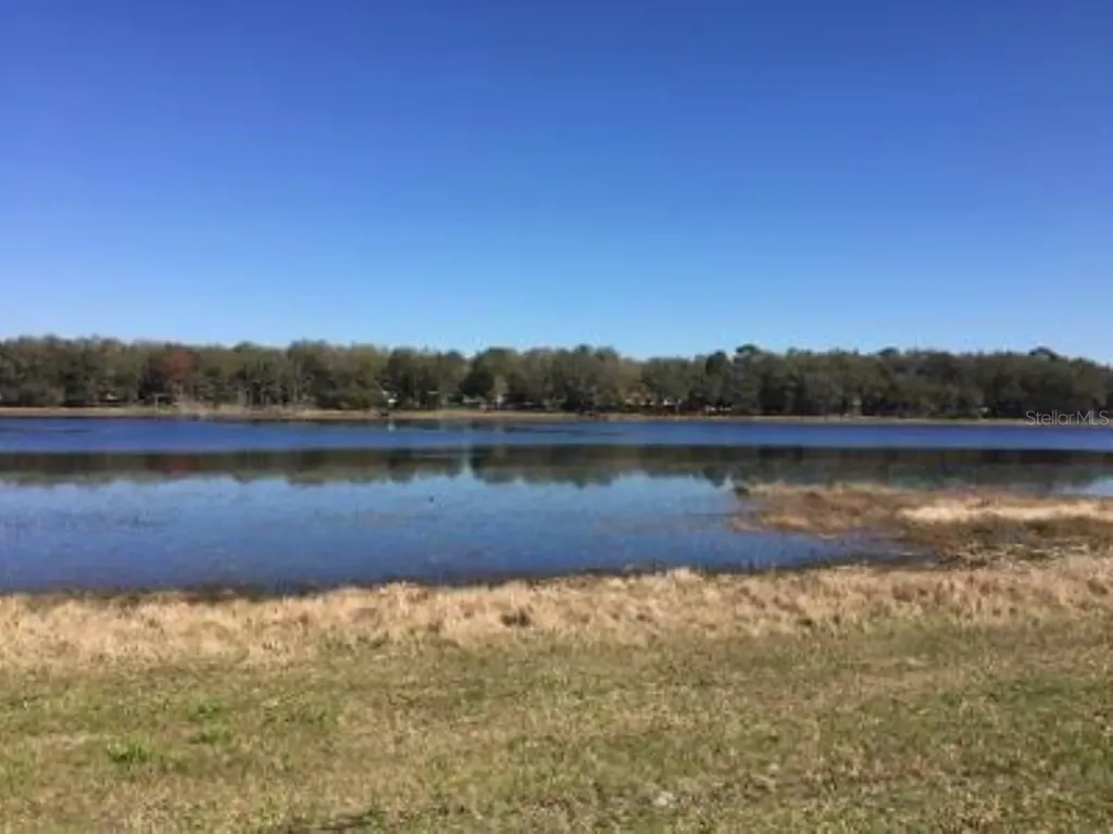 Lot 1 NW Mandrake Drive Dunnellon FL 34431