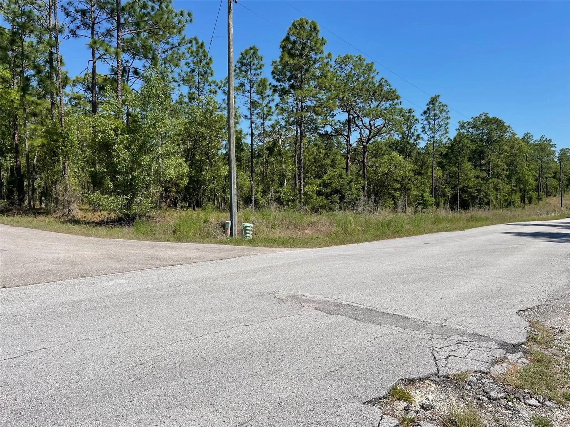 Lot 1 NW Mandrake Drive Dunnellon FL 34431